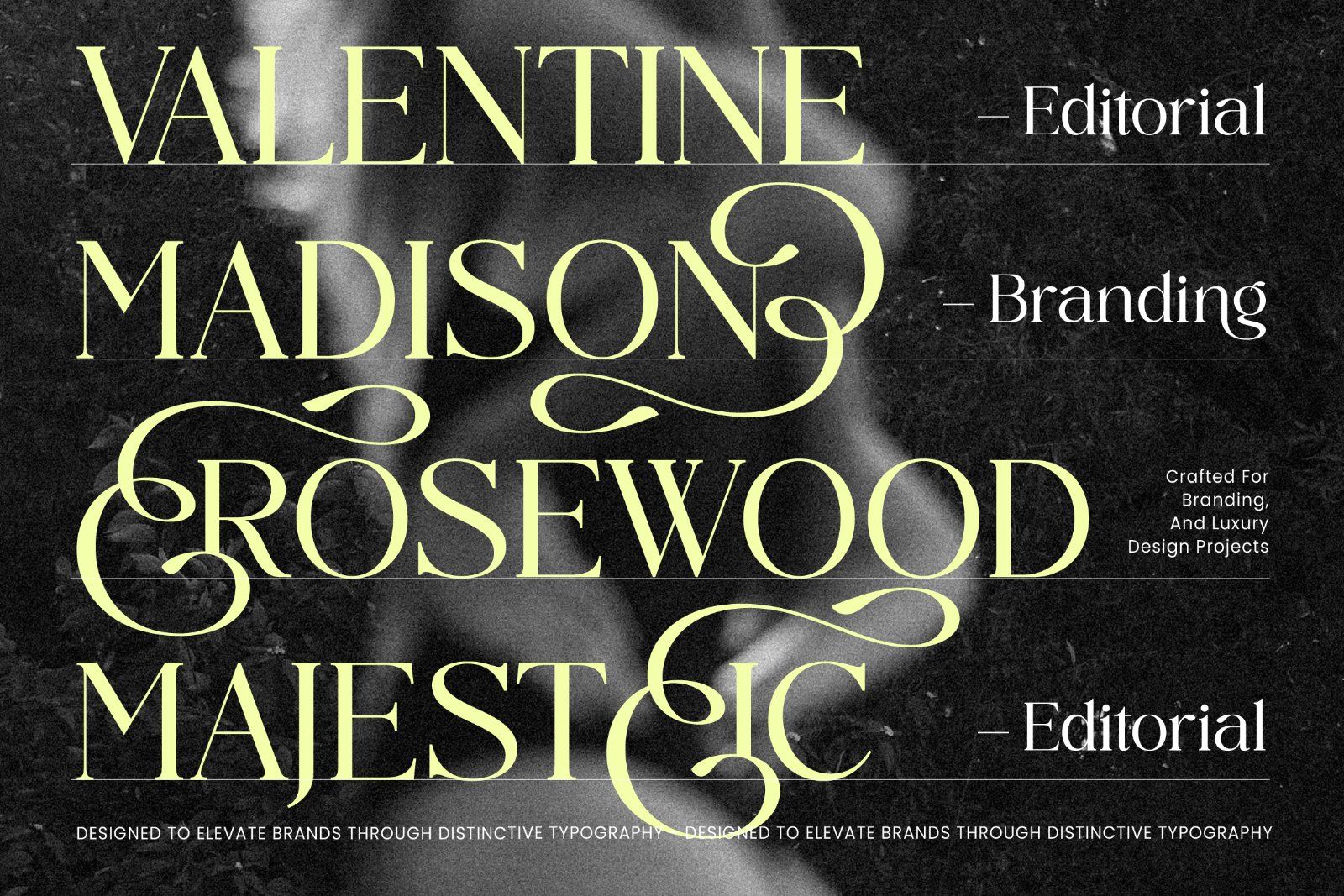Midnight Cafe Society Elegant Serif — image 7