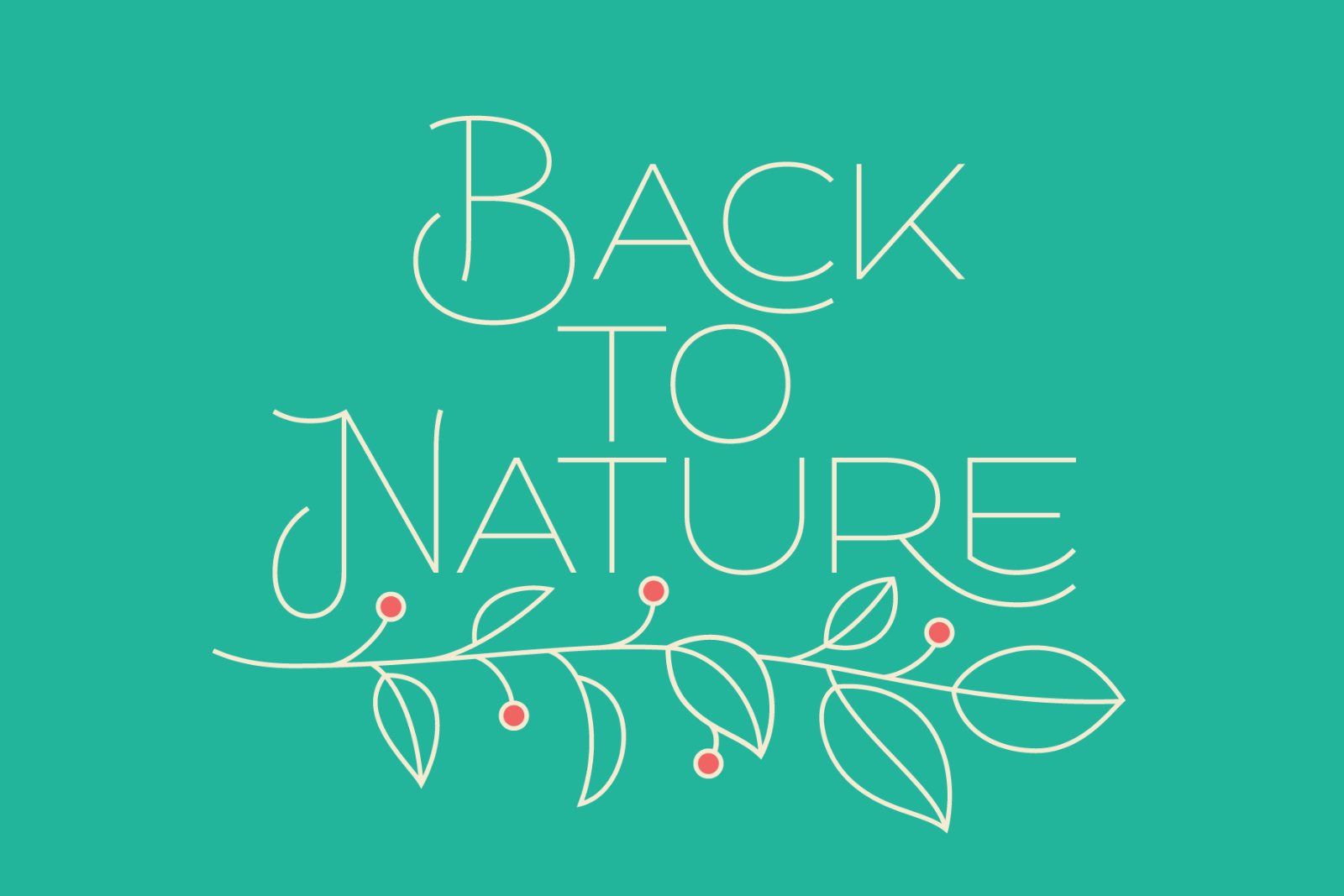 Mirriam — Modern Thin Typeface — image 2