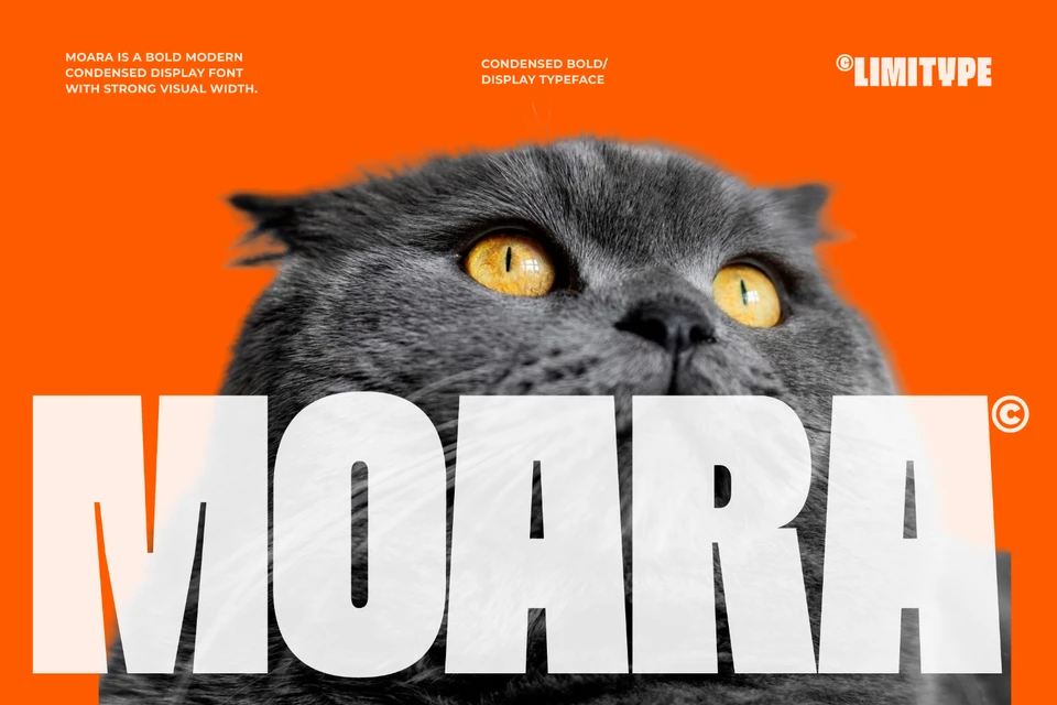 Moara