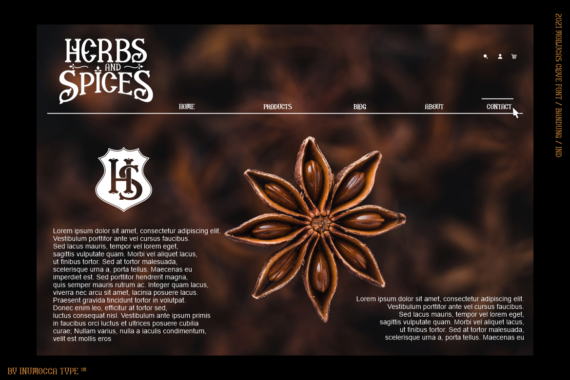 Mollucas Clove — image 3