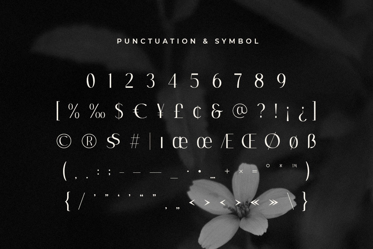 Monarch - Elegant Ligature Serif — image 12