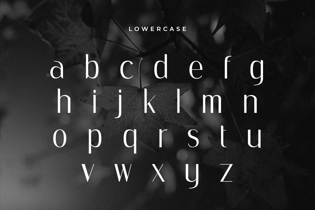 Monarch - Elegant Ligature Serif — image 10