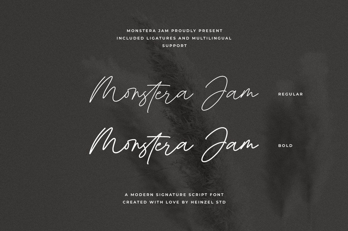 Monstera Jam — image 19