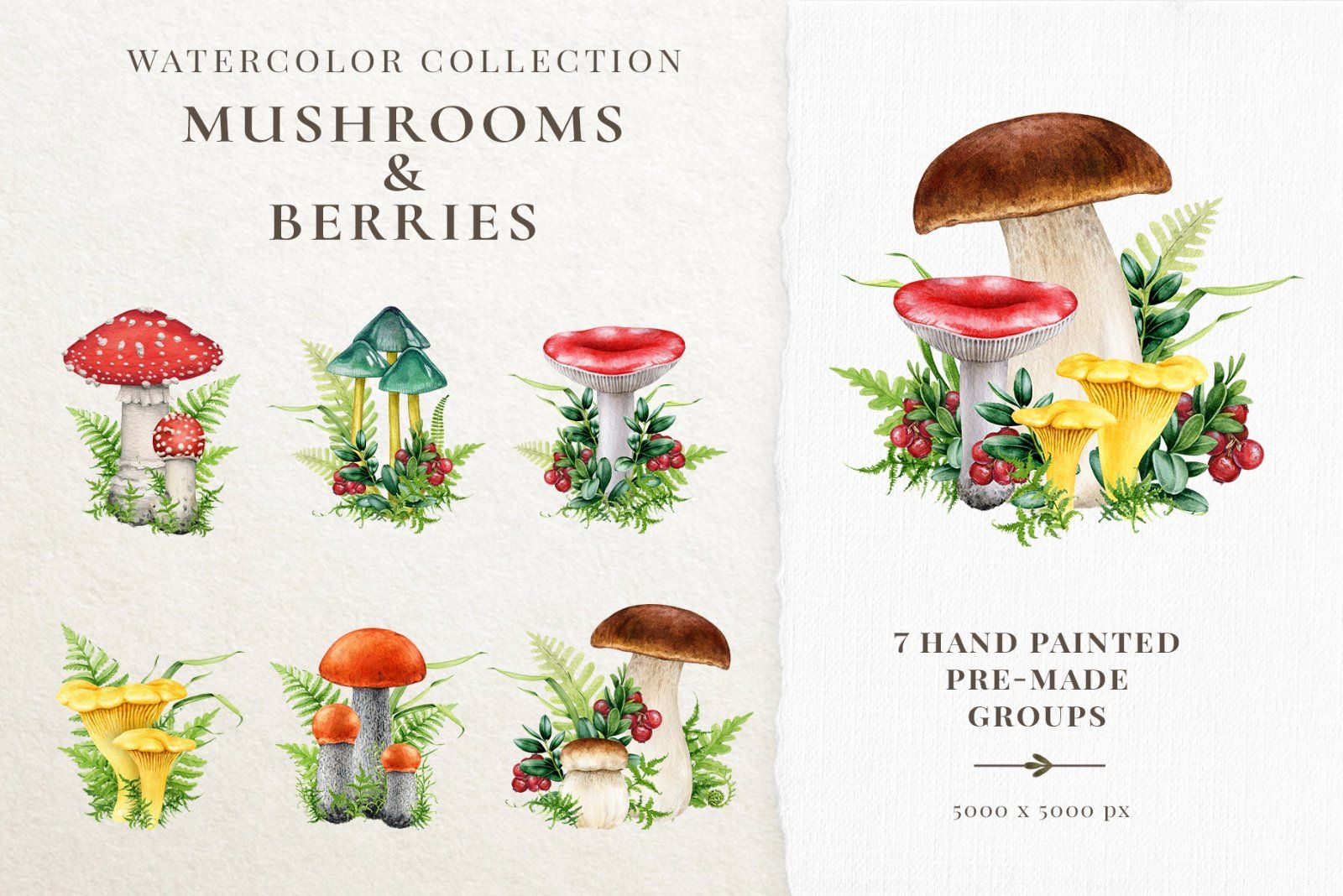 Woodland Animals Watercolor Clipart — image 13