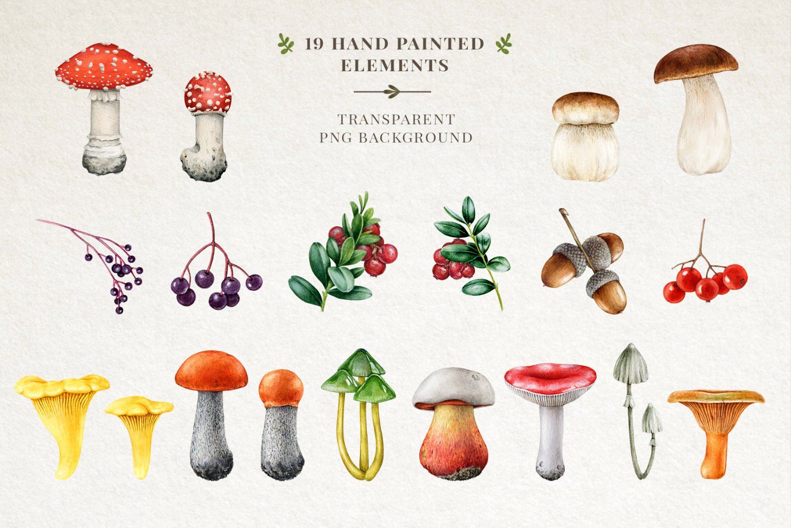 Woodland Animals Watercolor Clipart — image 12