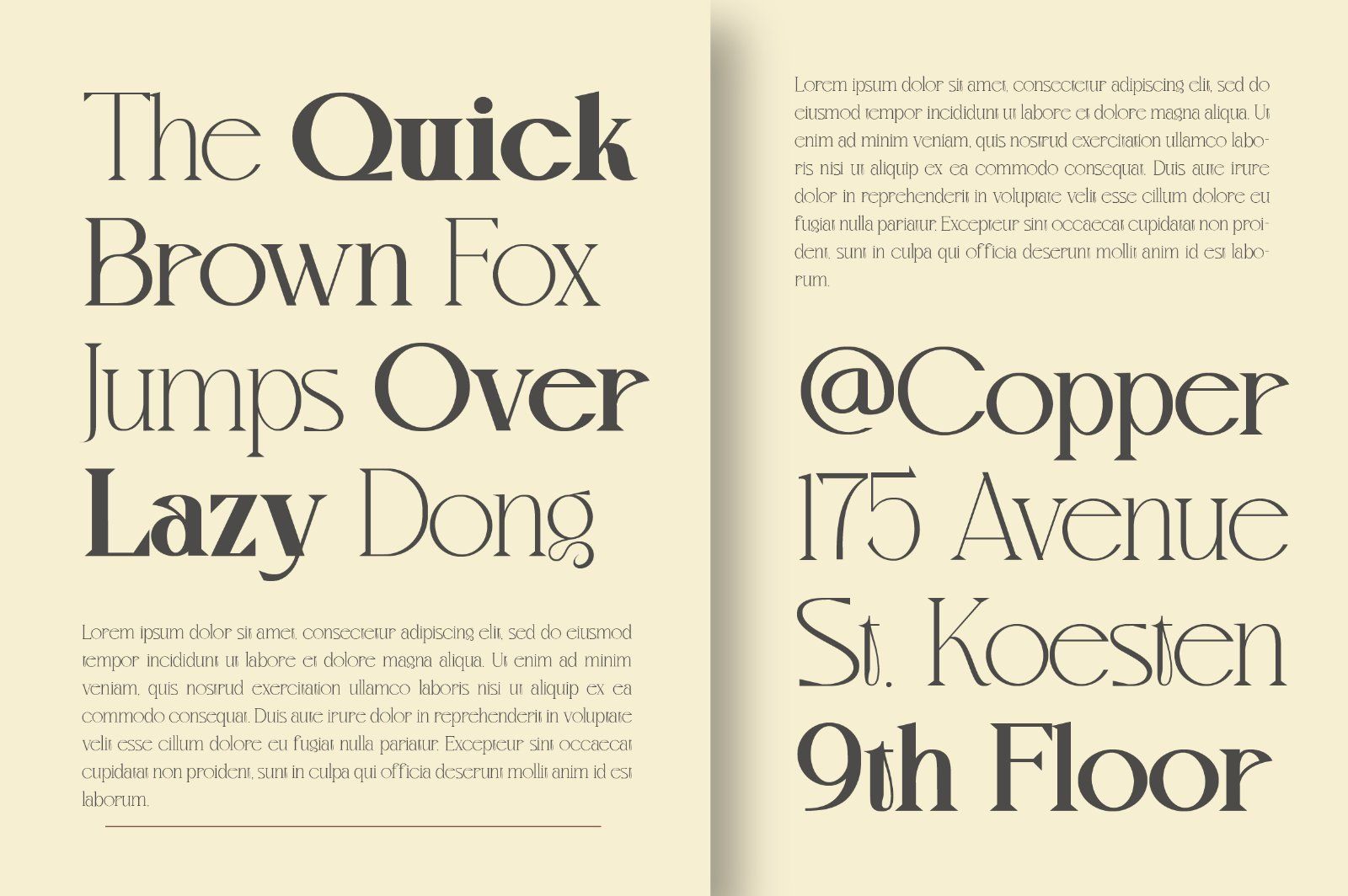Mvoky Modern Serif Family — image 14
