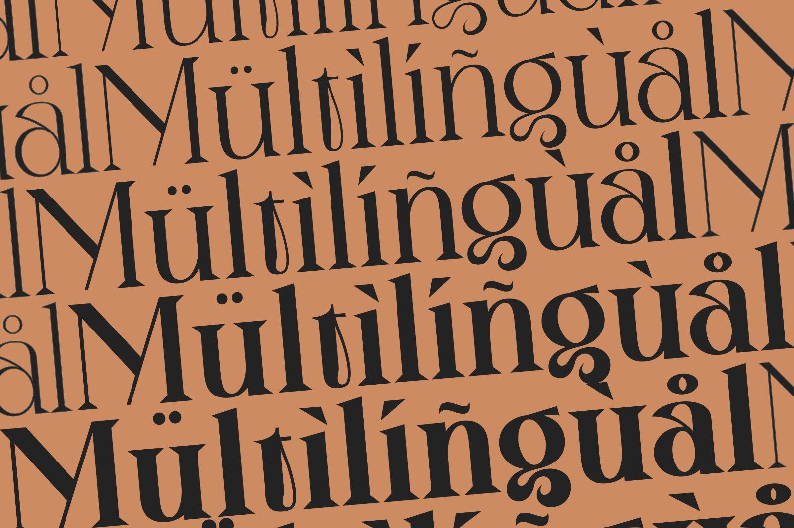 Mvoky Modern Serif Family — image 17