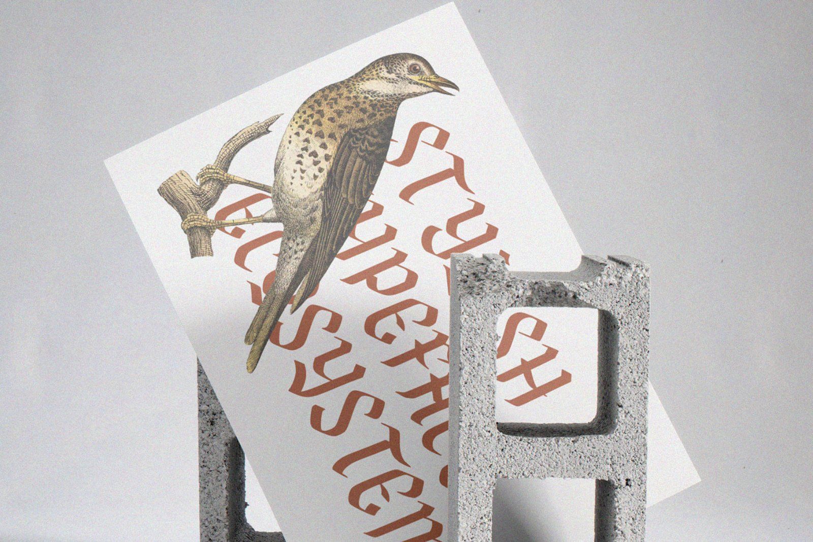 FEGAKINES — Blackletter Font — image 5