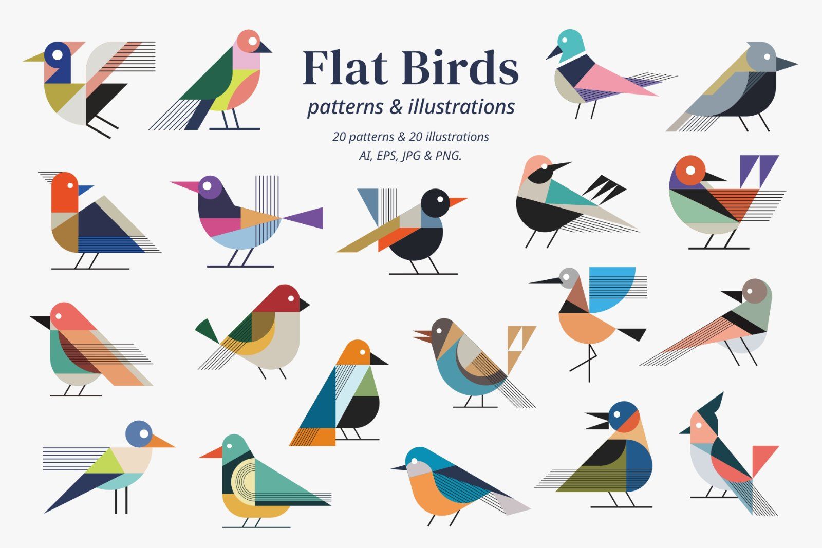 Flat Birds Illustrations & Patterns — image 1