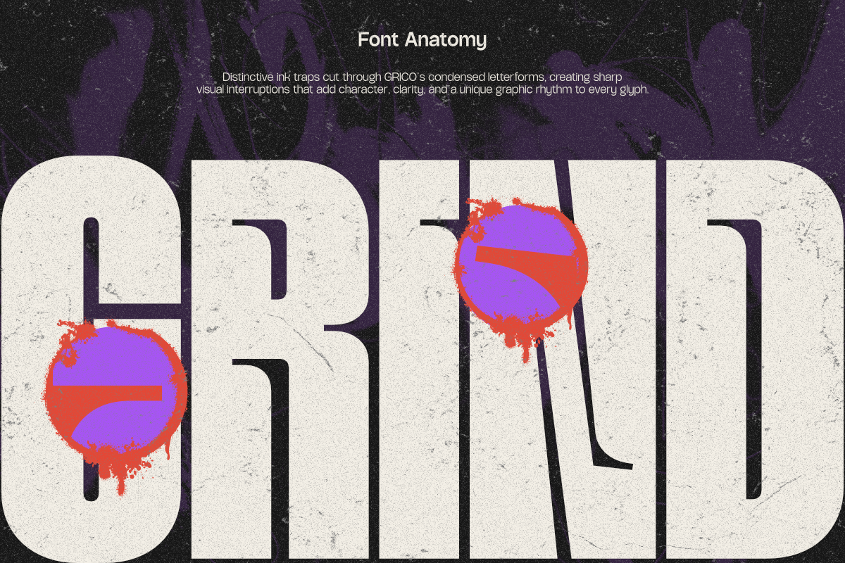 NV GRICO – Condensed Sans Serif Font Family — image 5