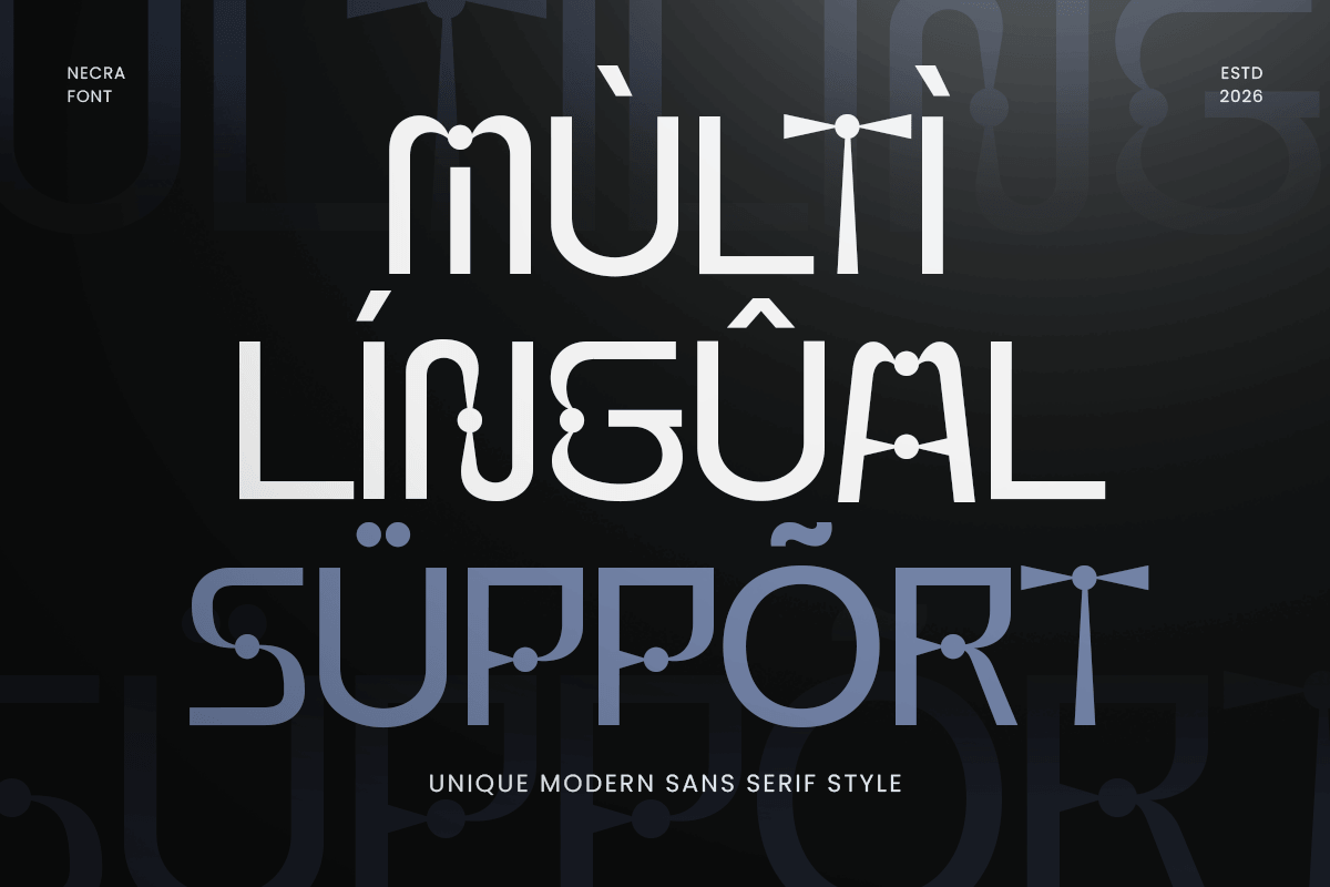 Necra -Unique Modern Sans Serif Font — image 12