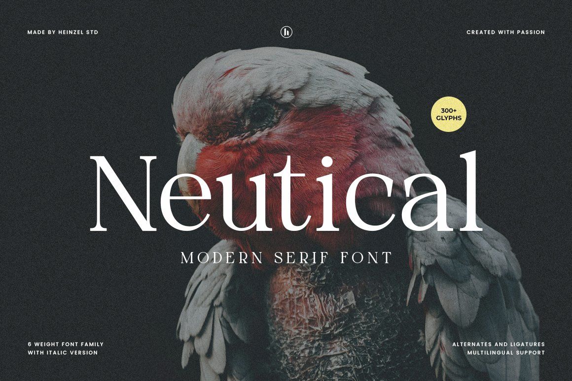 Neutical Modern Serif Font Family (6 Weights) — image 1