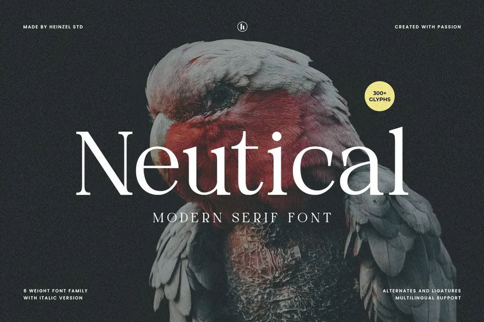 Neutical Modern Serif Font Family (6 Weights)