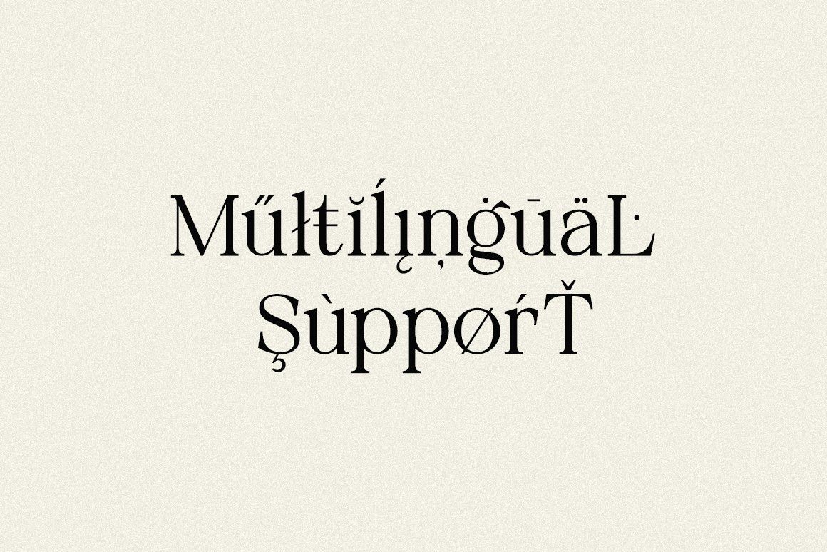 Neutical Modern Serif Font Family (6 Weights) — image 12