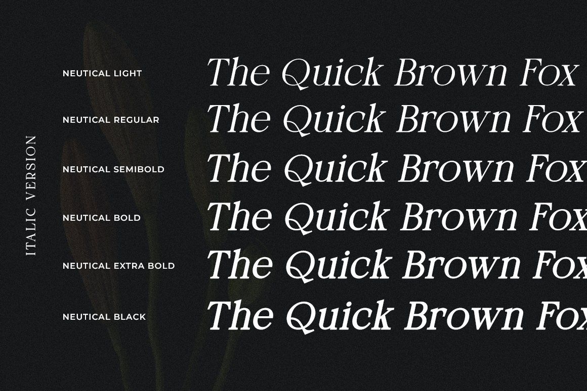 Neutical Modern Serif Font Family (6 Weights) — image 16