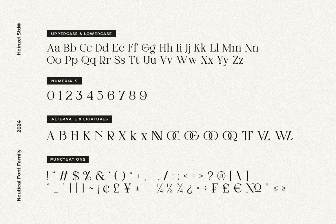 Neutical Modern Serif Font Family (6 Weights) — image 17