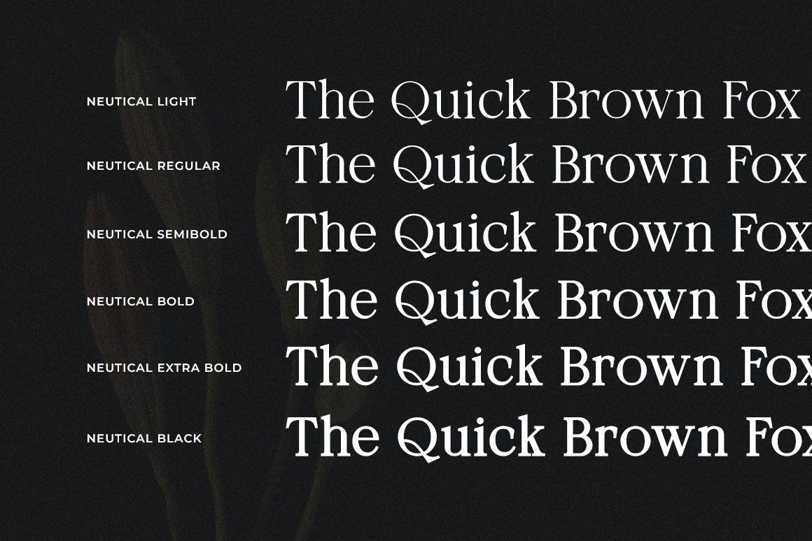 Neutical Modern Serif Font Family (6 Weights) — image 4