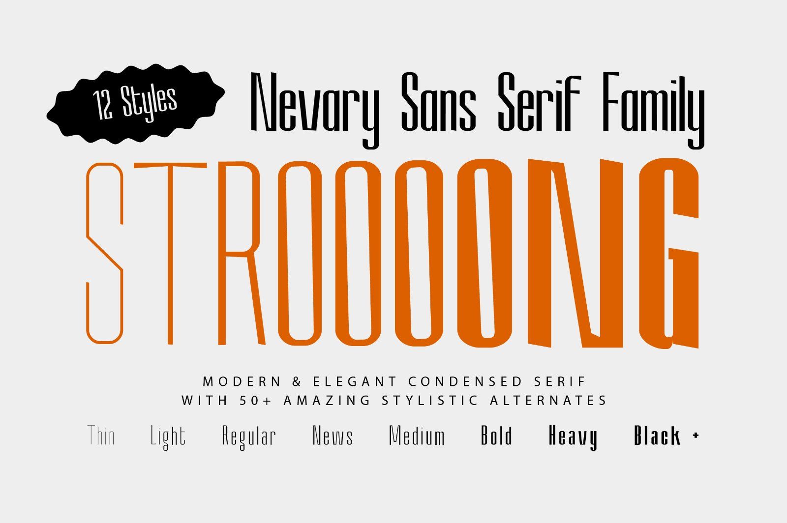 Nevary Modern Sans Family — image 5