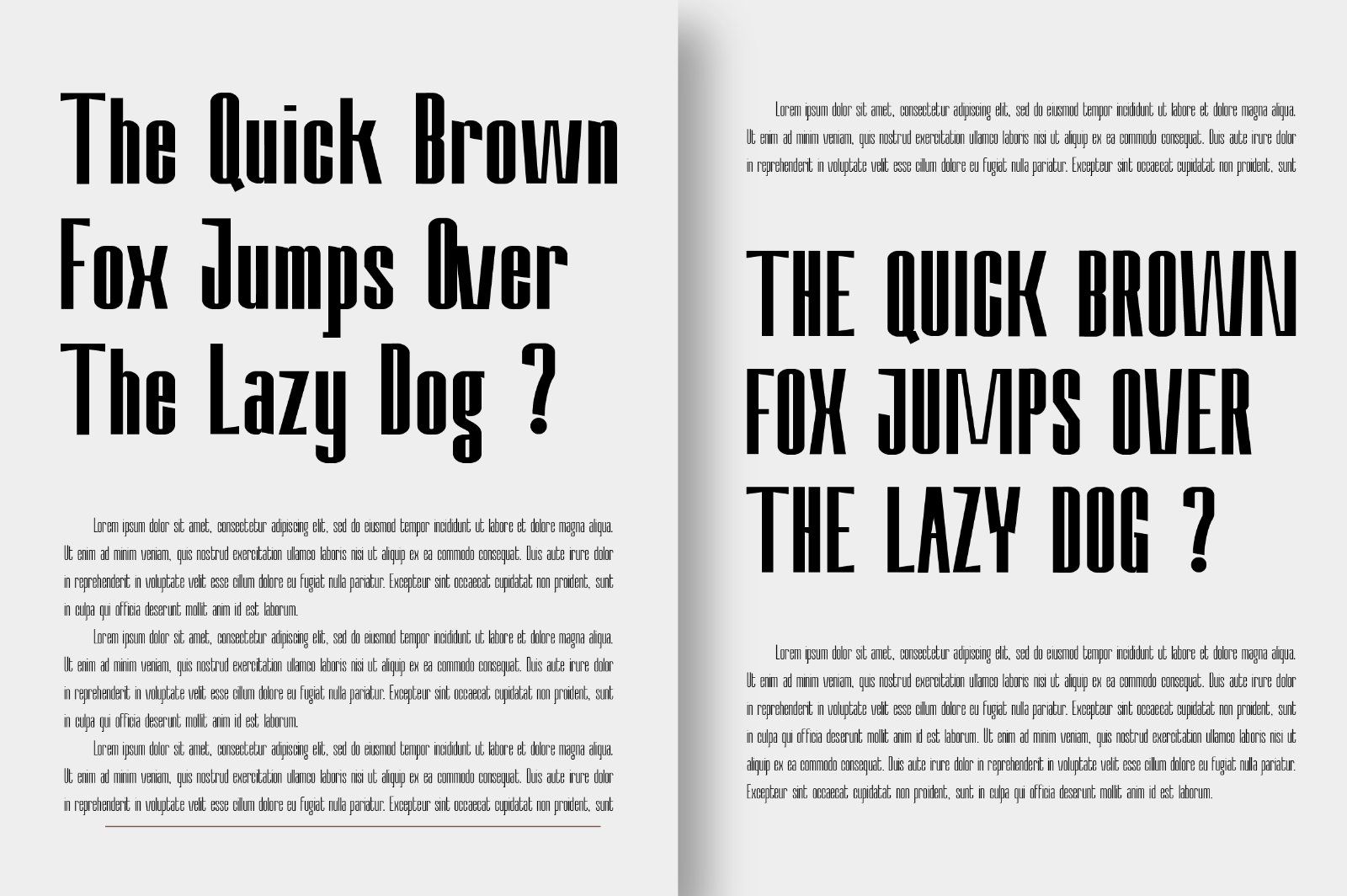 Nevary Modern Sans Family — image 14