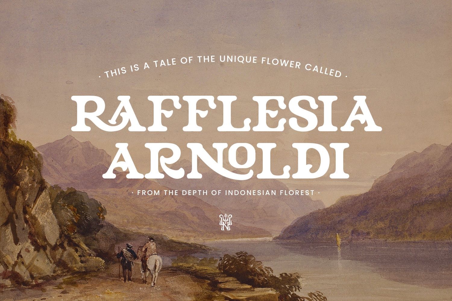 Niraloka - Serif Vintage Display Font — image 3