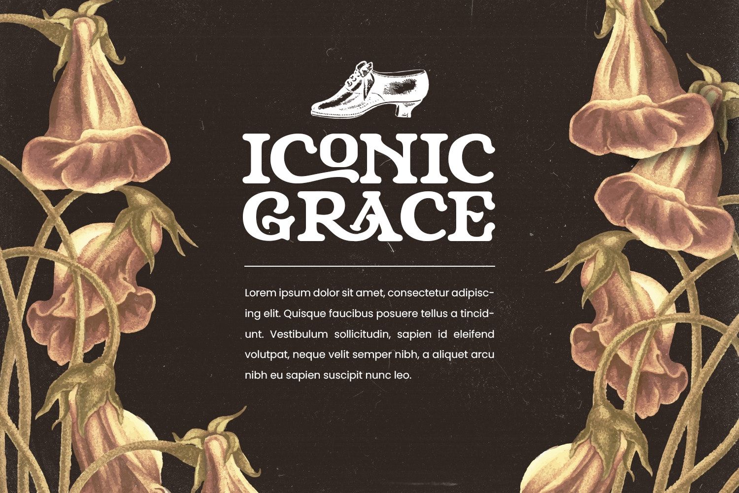 Niraloka - Serif Vintage Display Font — image 6