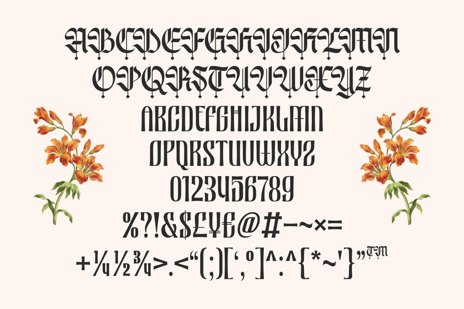Nocthira Blackletter Typeface Font — image 6