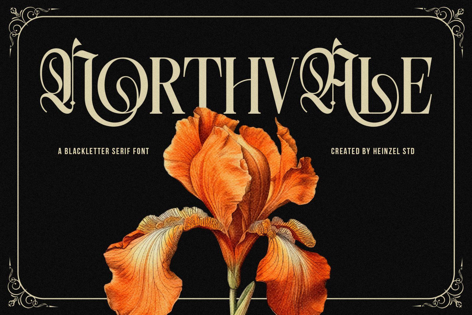 Northvale Blackletter Serif Font — image 1