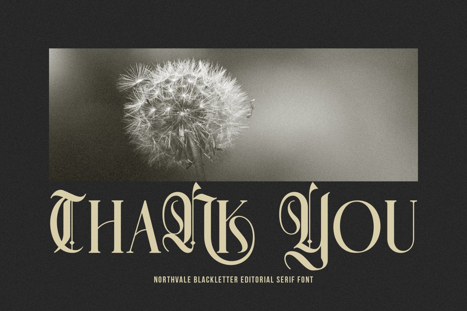 Northvale Blackletter Serif Font — image 10