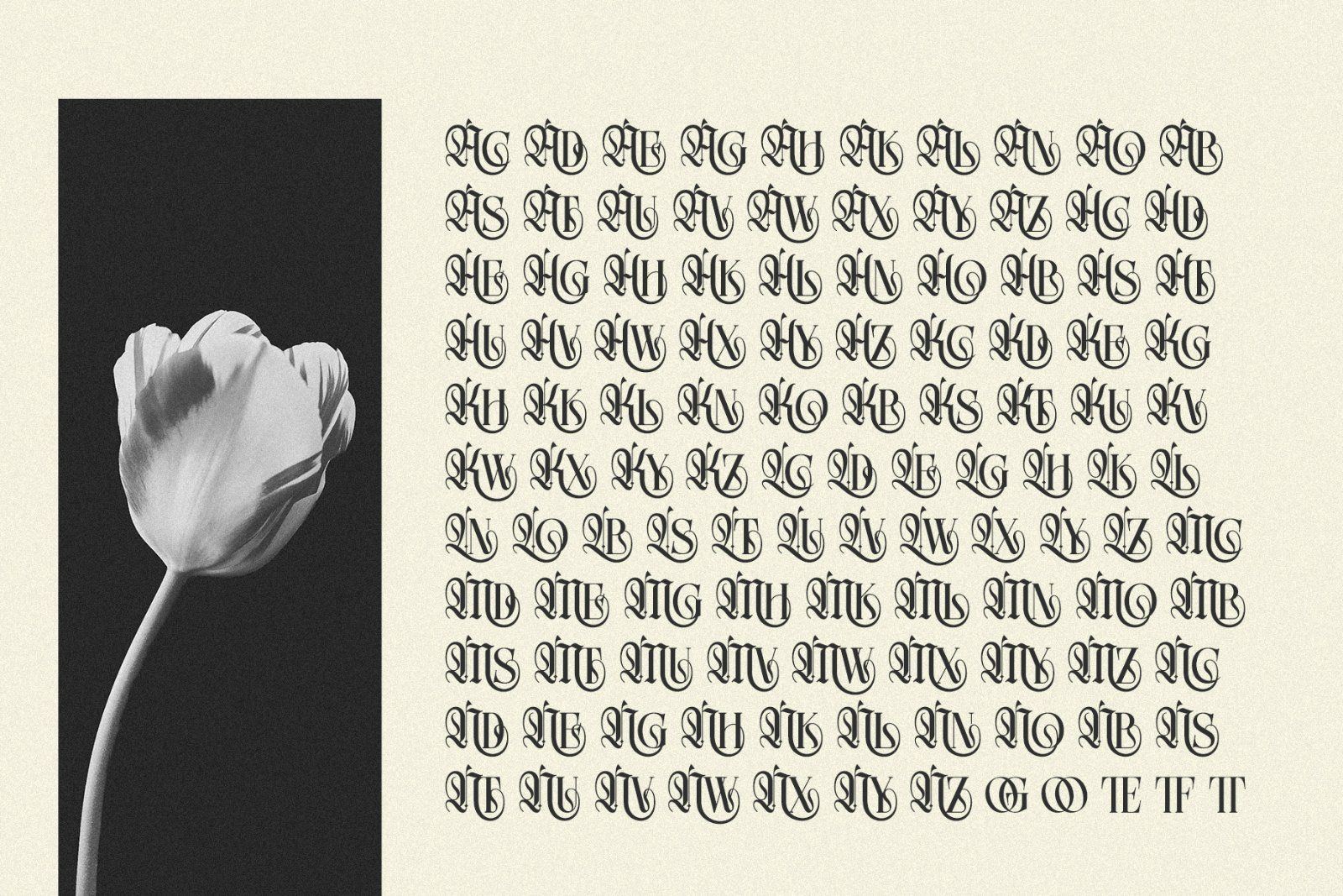 Northvale Blackletter Serif Font — image 3