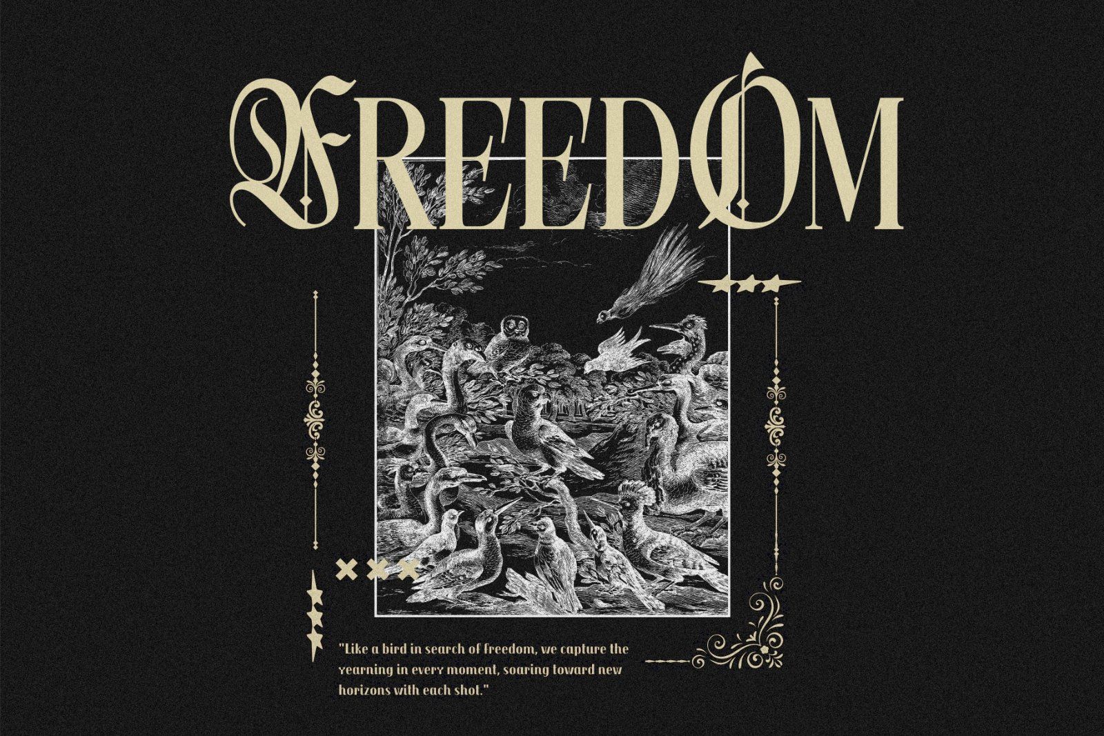 Northvale Blackletter Serif Font — image 6