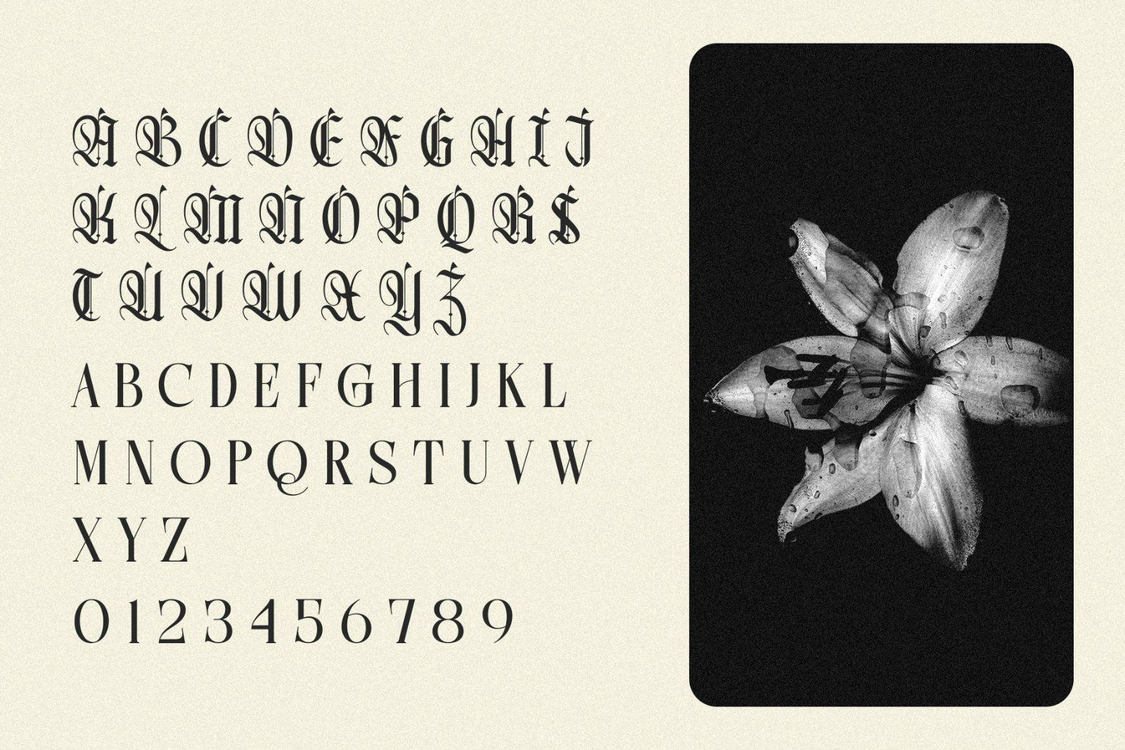 Northvale Blackletter Serif Font — image 7