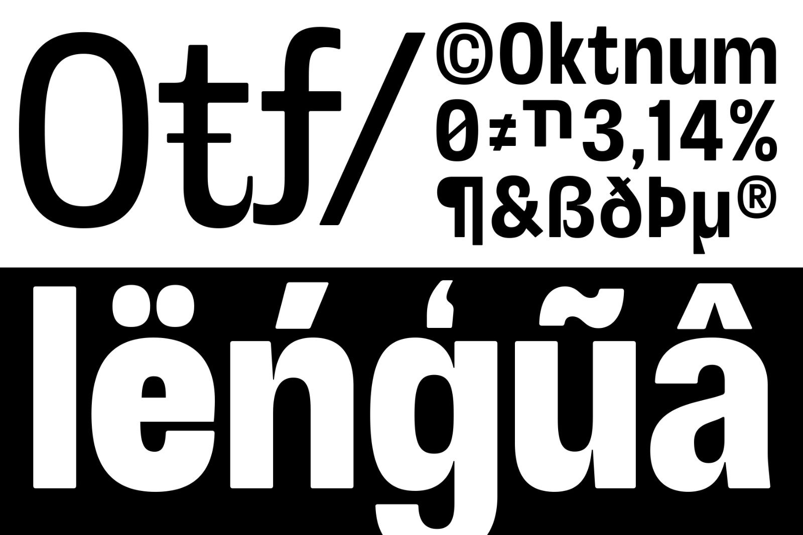 Otflag Sans Variable