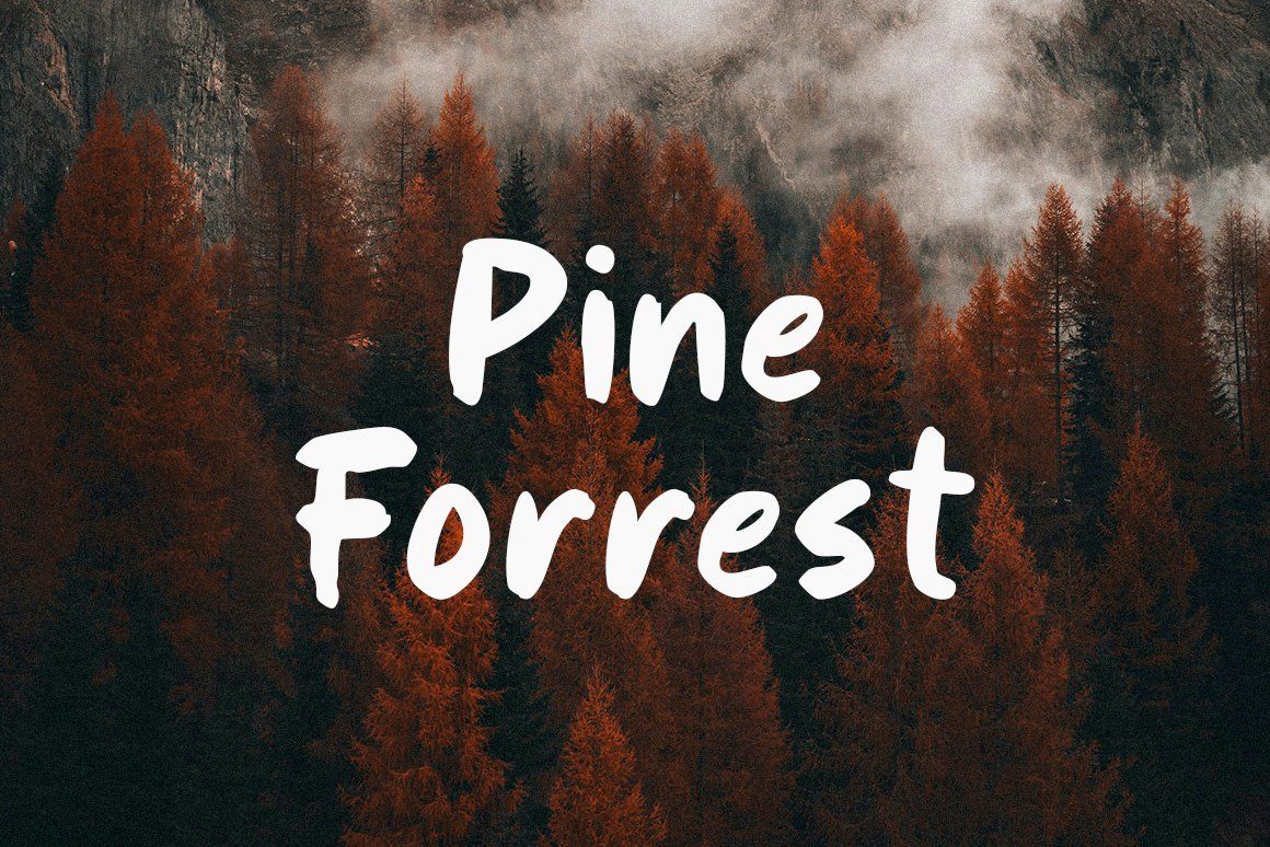 Oxford Vibes Playful Handwritten Font — image 4