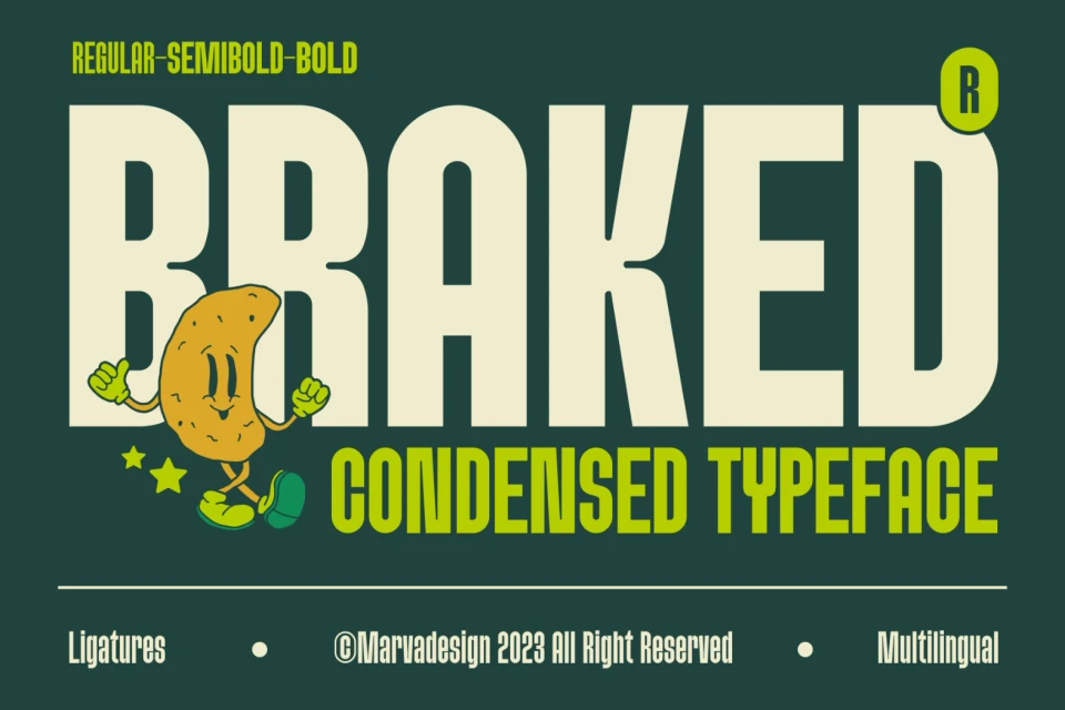 Braked - A Family Sans Condensed