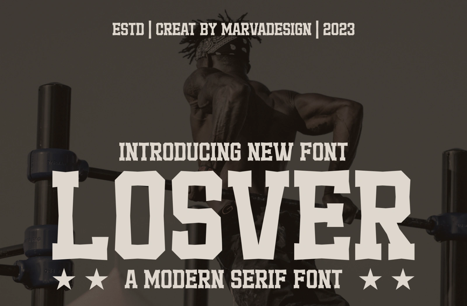 Losver — image 1