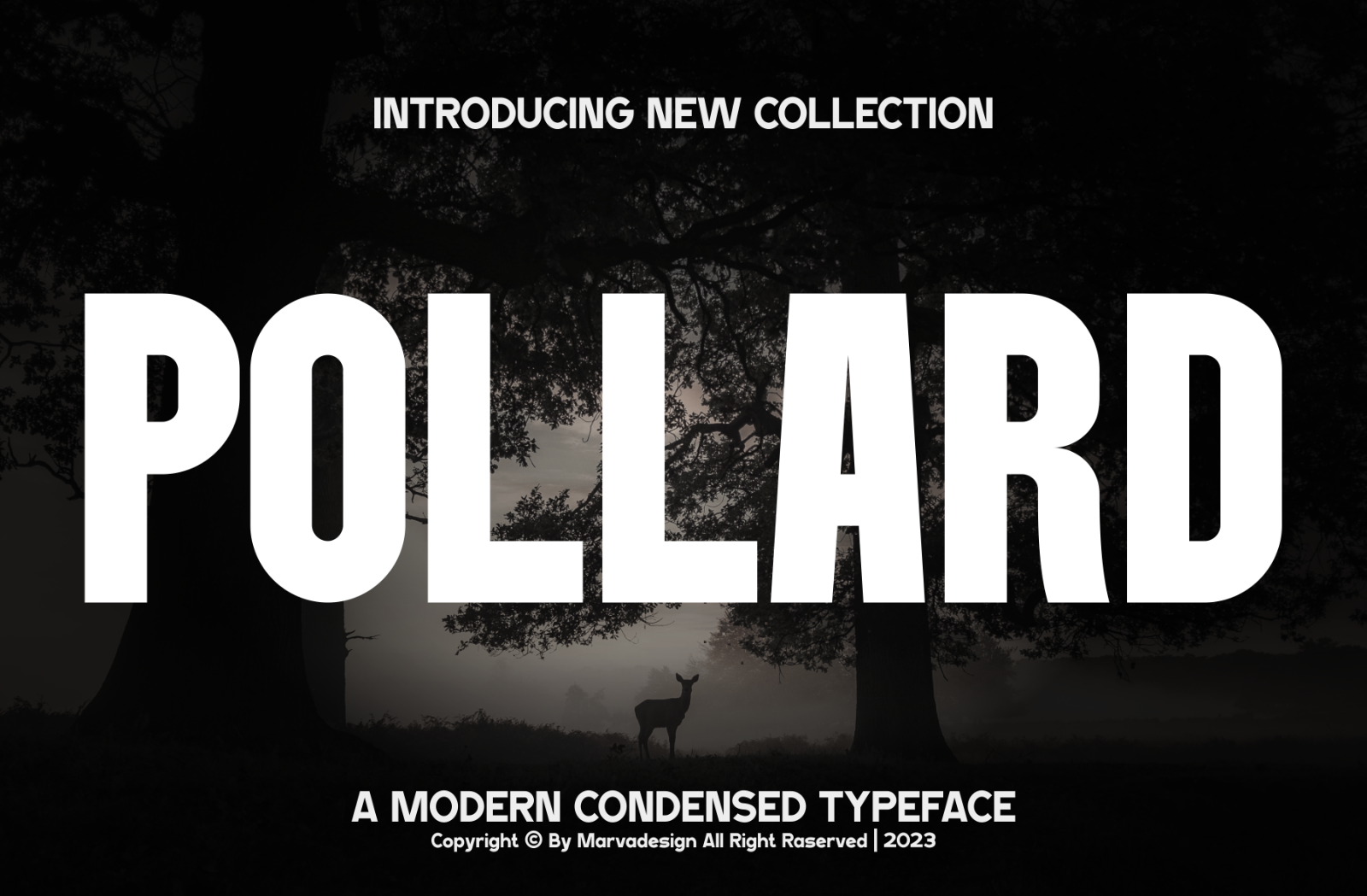 Pollard
