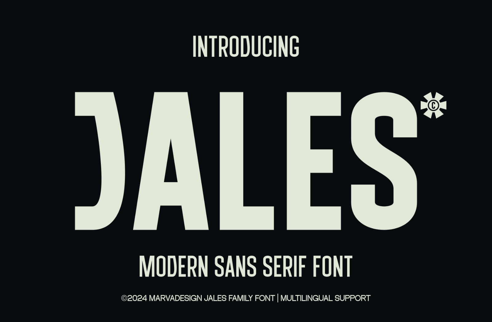 Jales - Family Sans Serif — image 1
