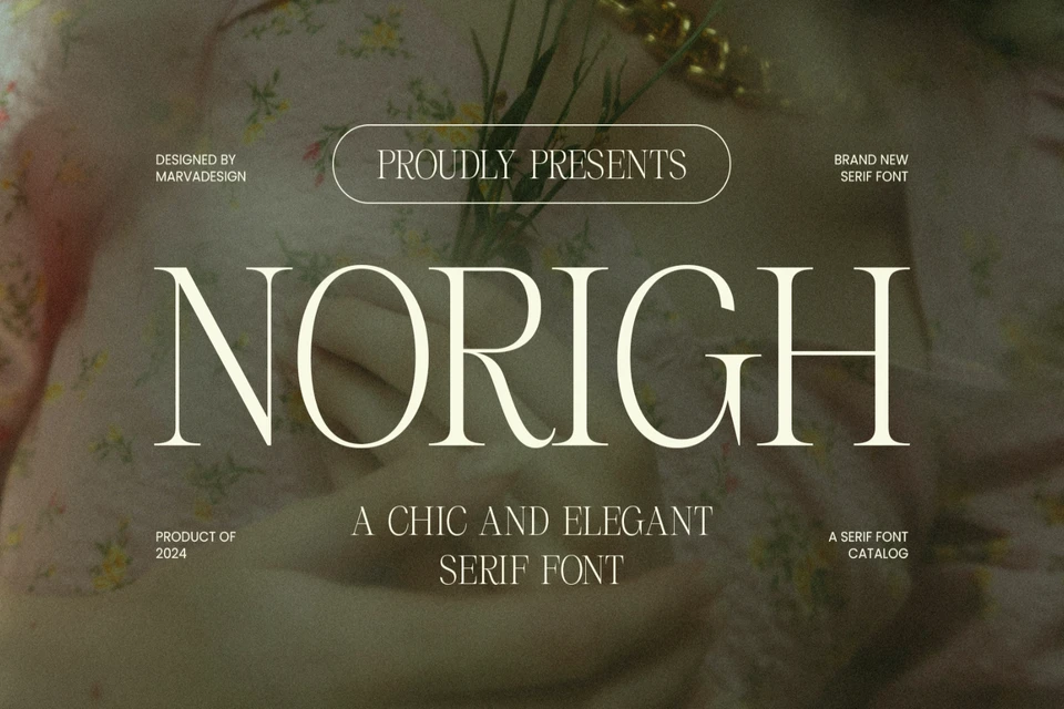 Norigh Font