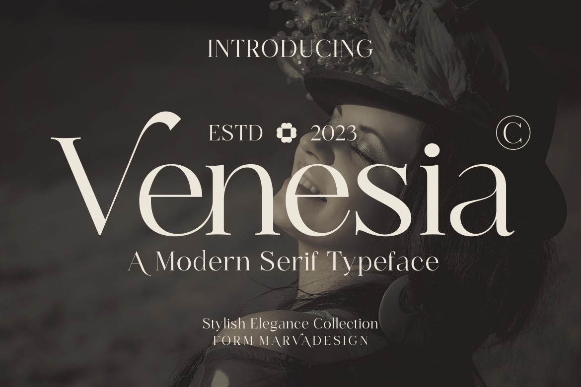Venesia - A Modern Serif Font — image 1