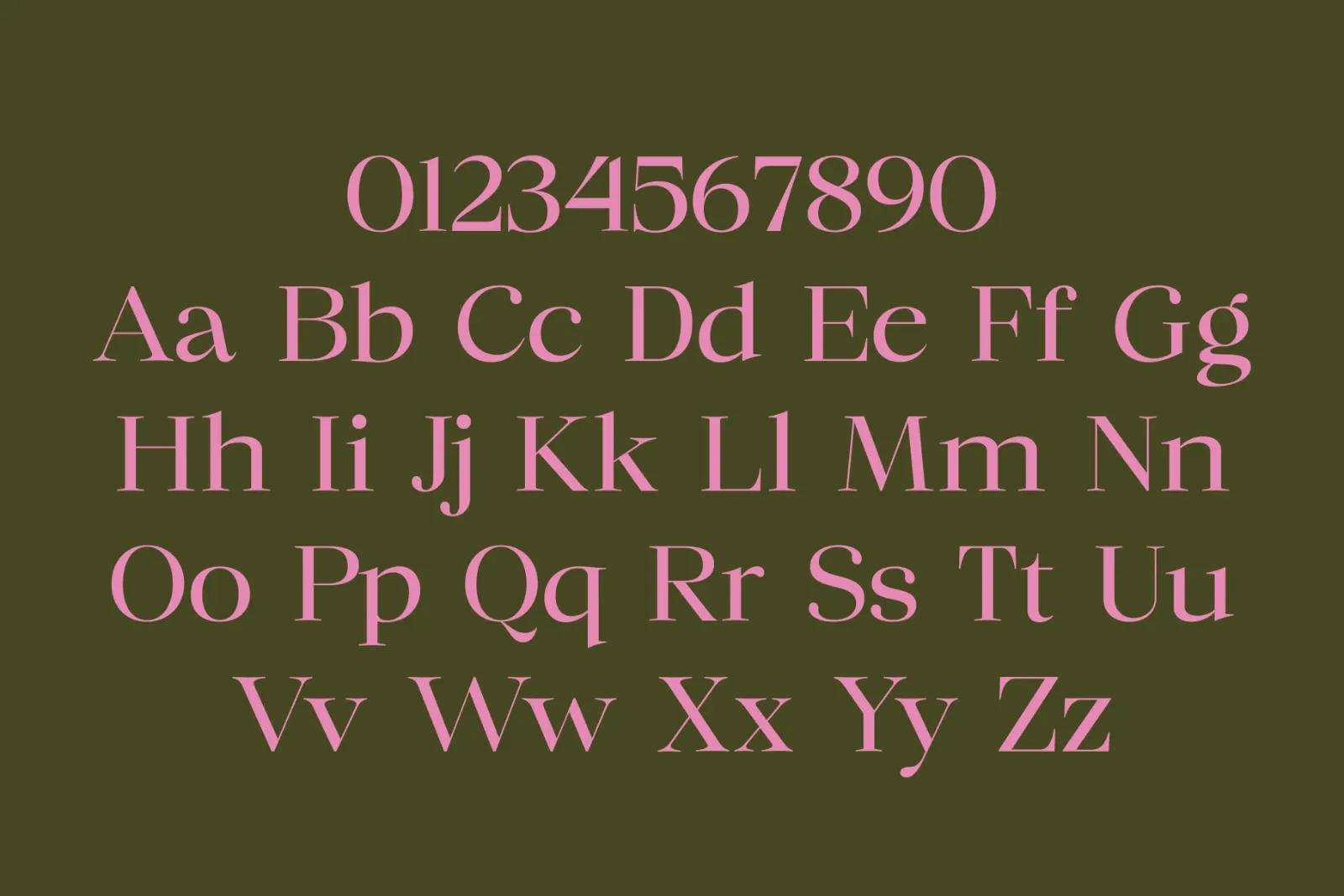 Chilton - Family Serif — image 10