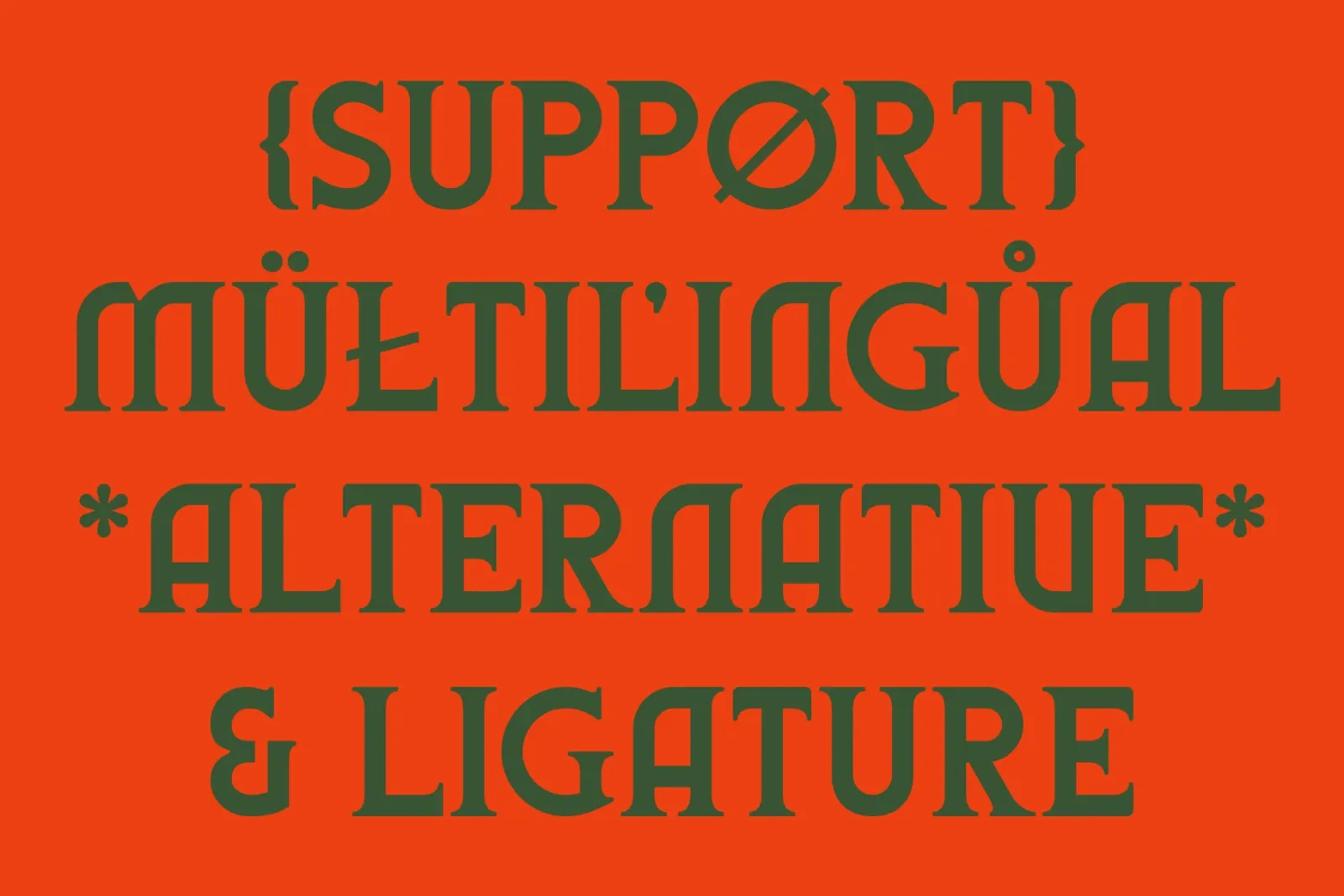 Mishca - Modern Serif — image 11