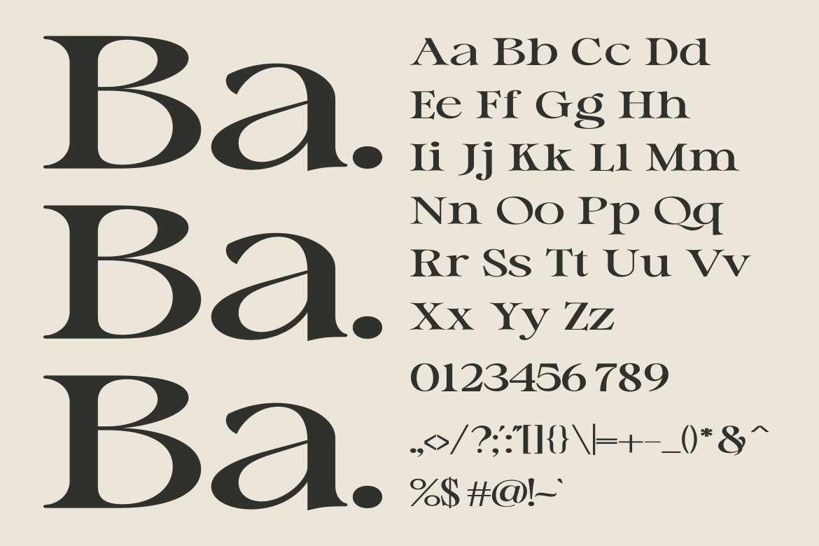 Gillian - A Modern Serif Font — image 2