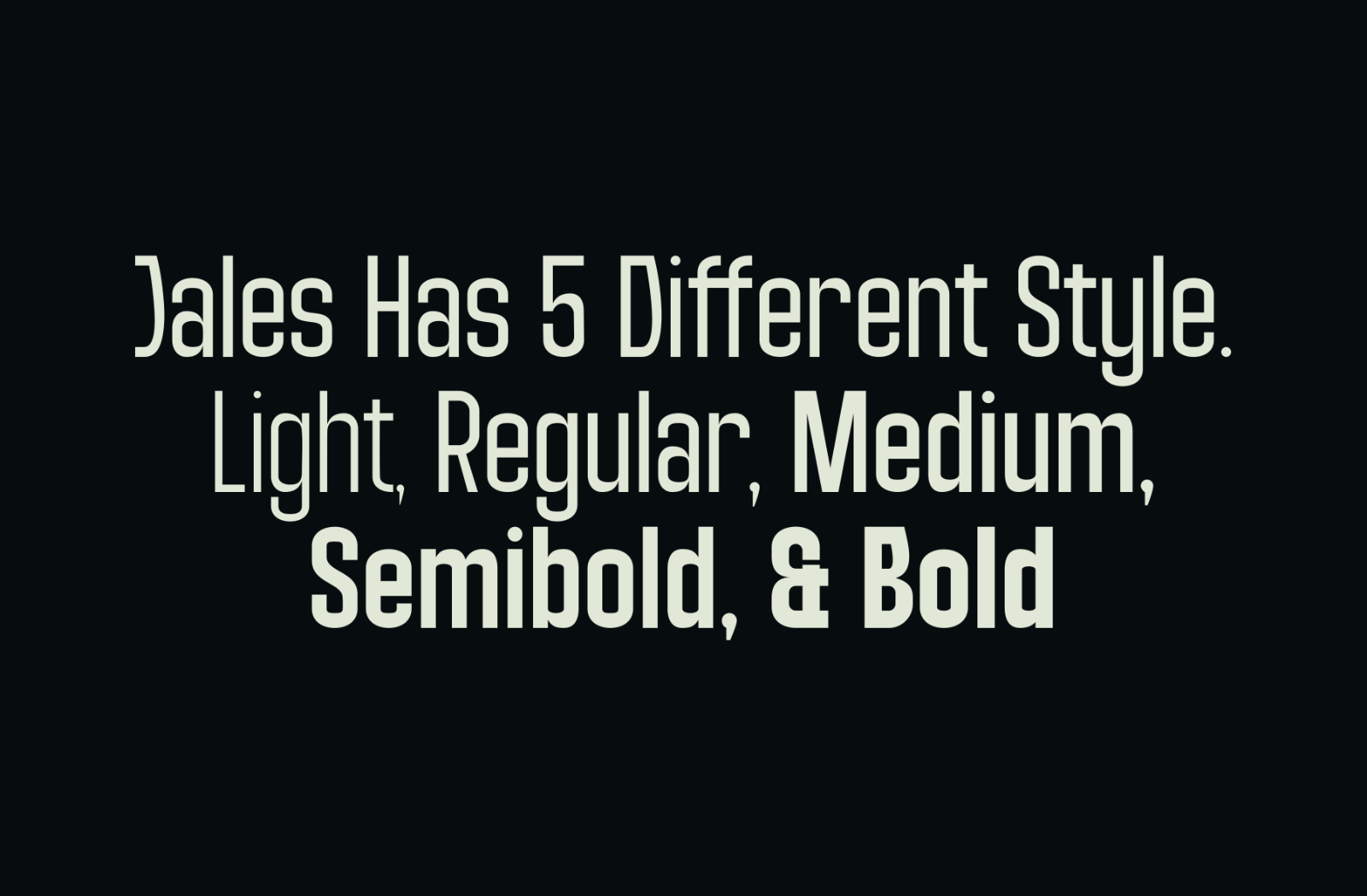 Jales - Family Sans Serif — image 2