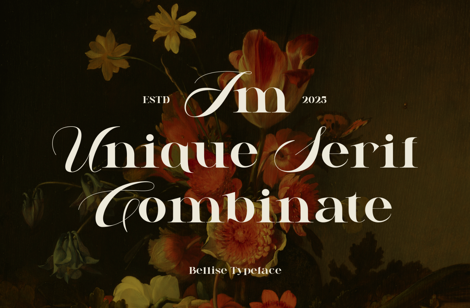 Bellise - Combination Serif — image 2