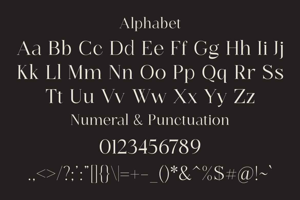 Venesia - A Modern Serif Font — image 2