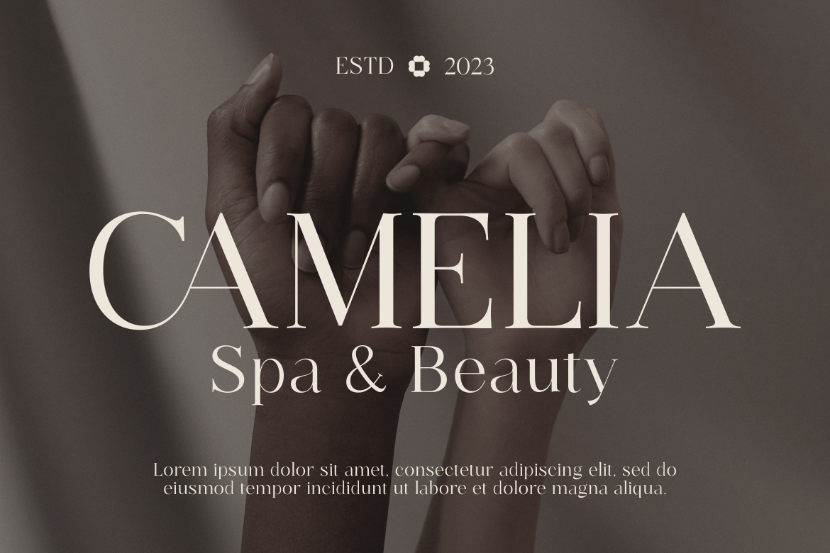 Venesia - A Modern Serif Font — image 3