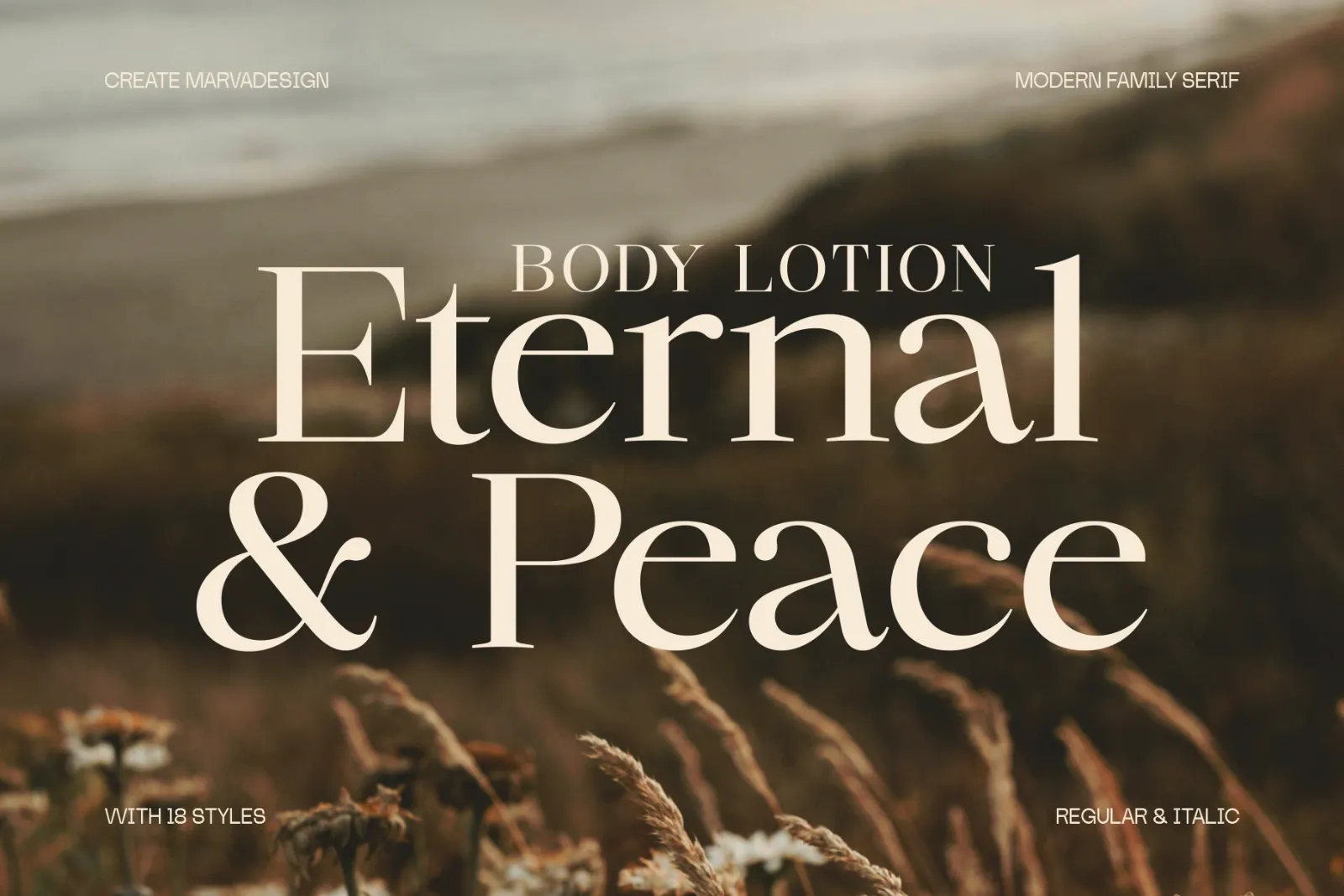 Chilton - Family Serif — image 3