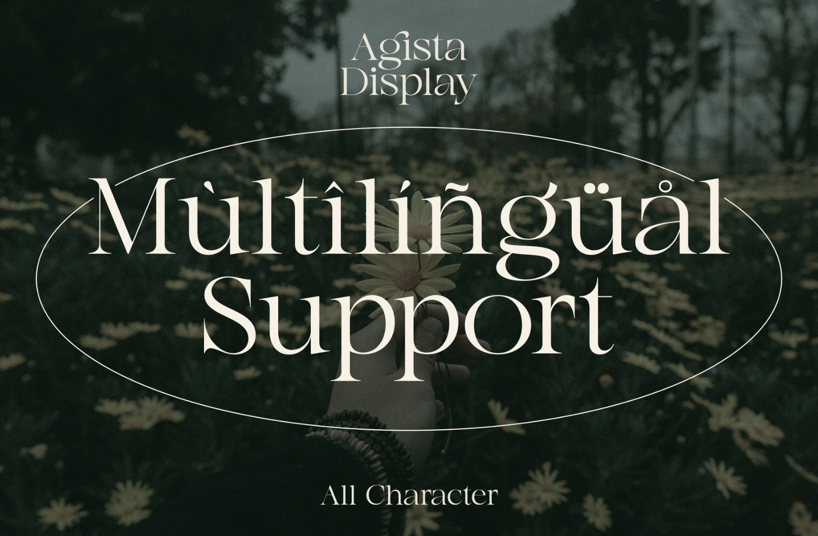 Agista Display