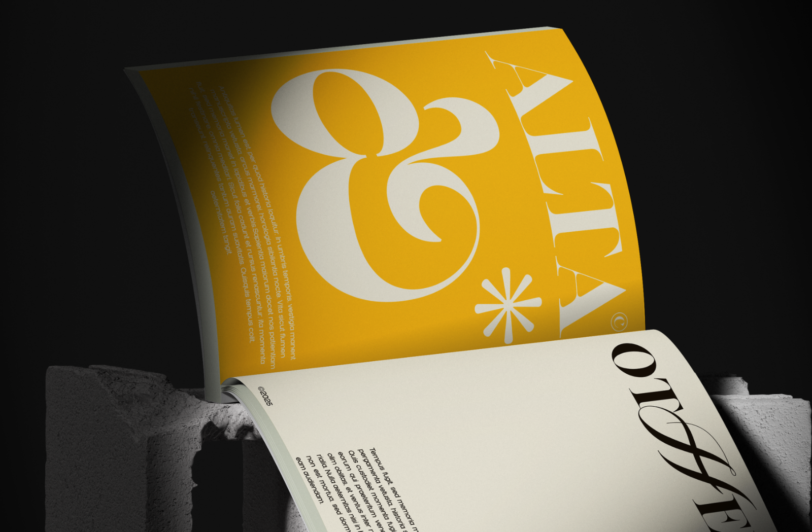 Bellise - Combination Serif — image 7