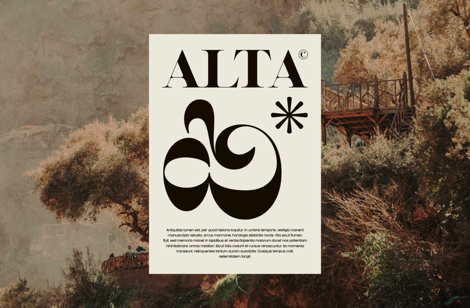 Bellise - Combination Serif — image 8